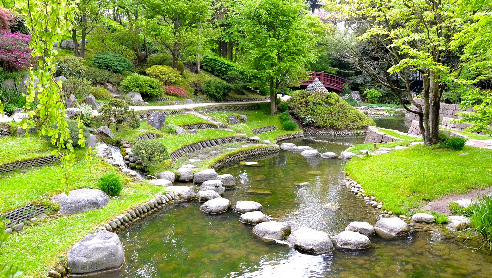 jardin japonais