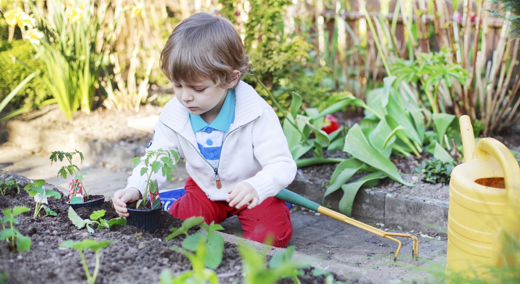 Initier son enfant au jardinage