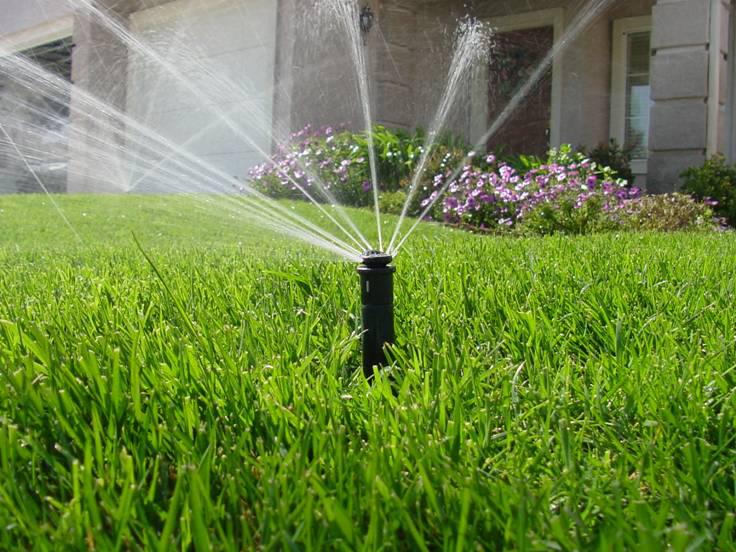 Les systèmes d’irrigation de jardin jardinageconseils.fr