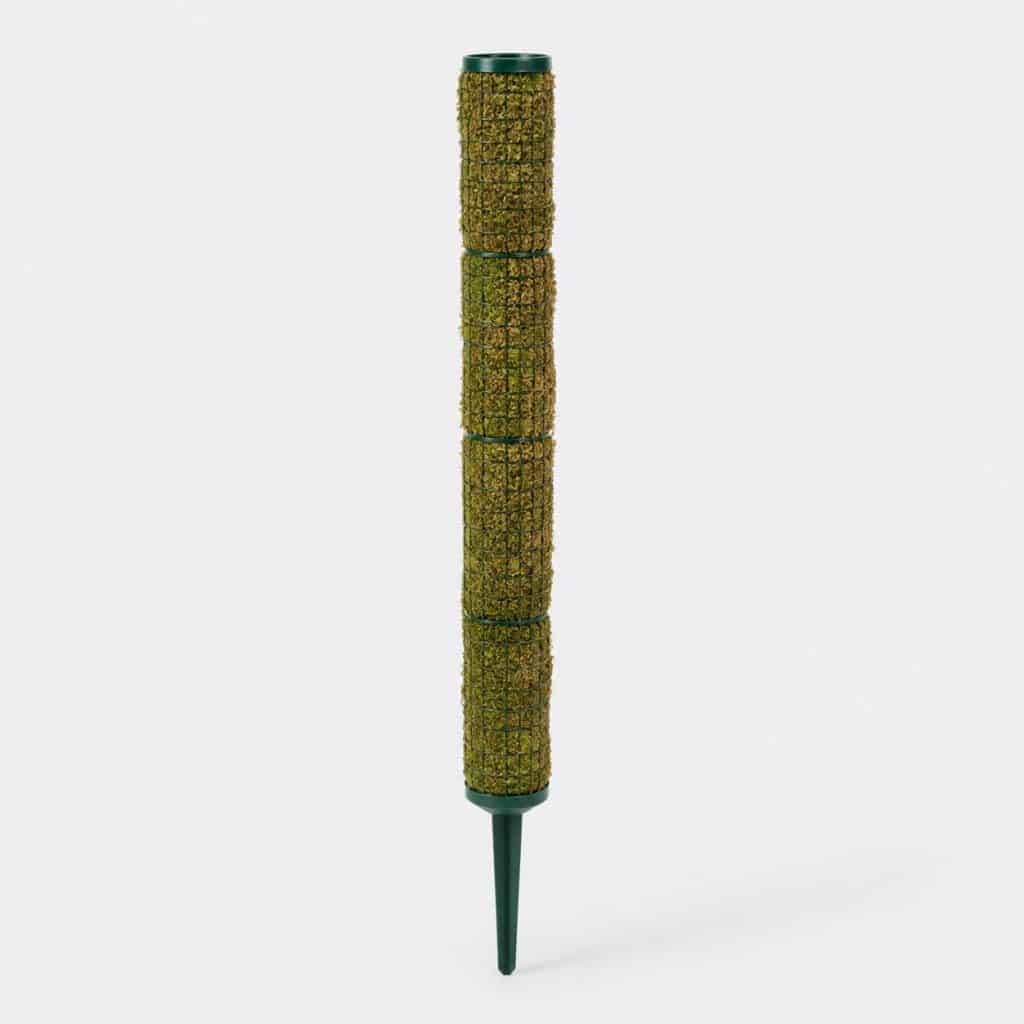 Tuteur sphaigne extensible pour grande plante d'intérieur